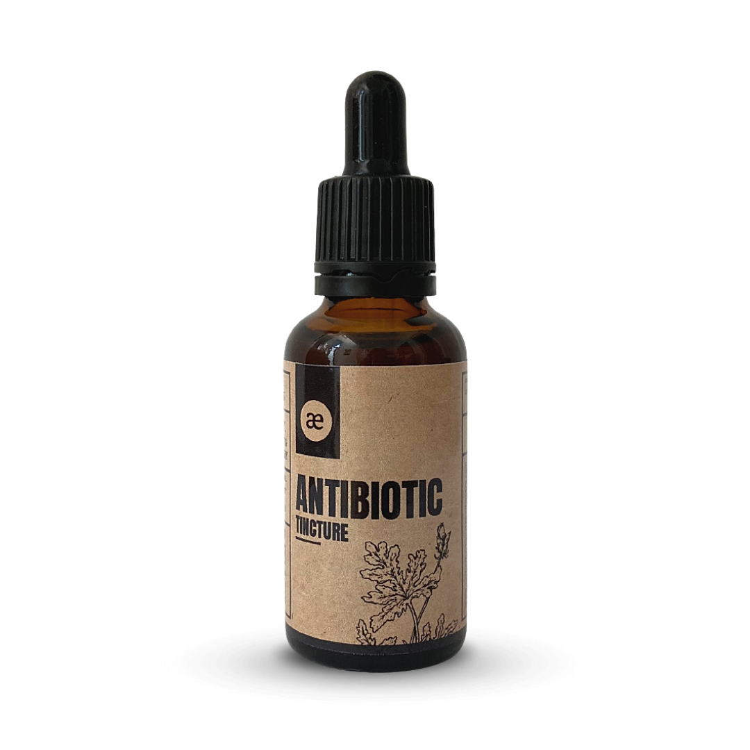 AETHER ANTIBIOTIC TINCTURE 30ML - Image 2
