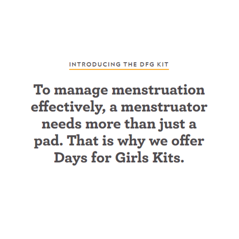 DAYS FOR GIRLS DIGNITY KITS - Image 2