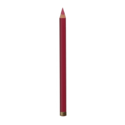 INTHUSIASM PLUM EYE & LIP PENCIL