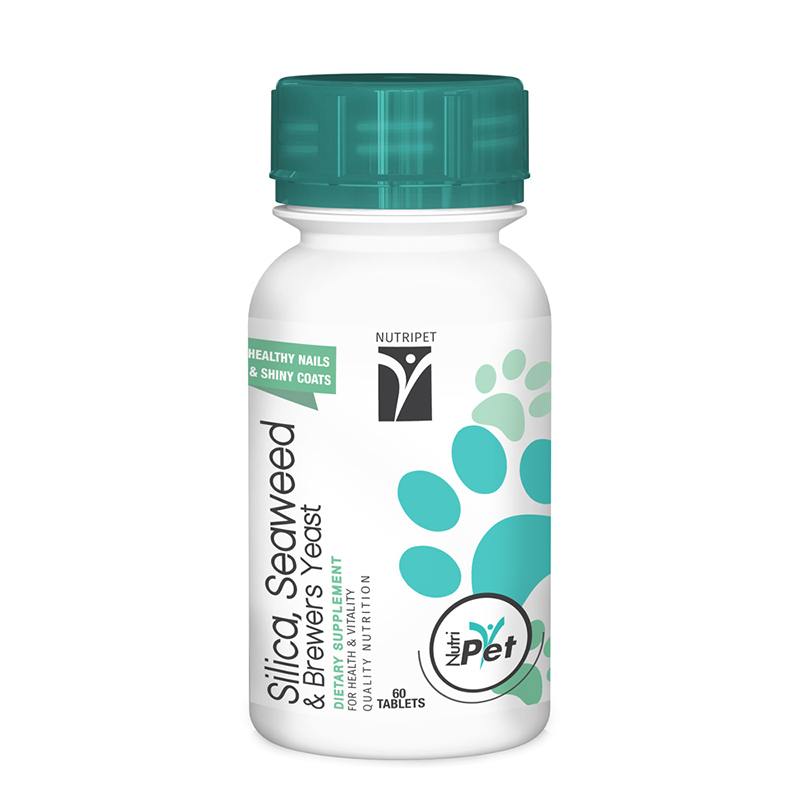 NUTRIGREEN SILICA SEAWEED AND BREWERS YEAST 60 TABS - Image 2