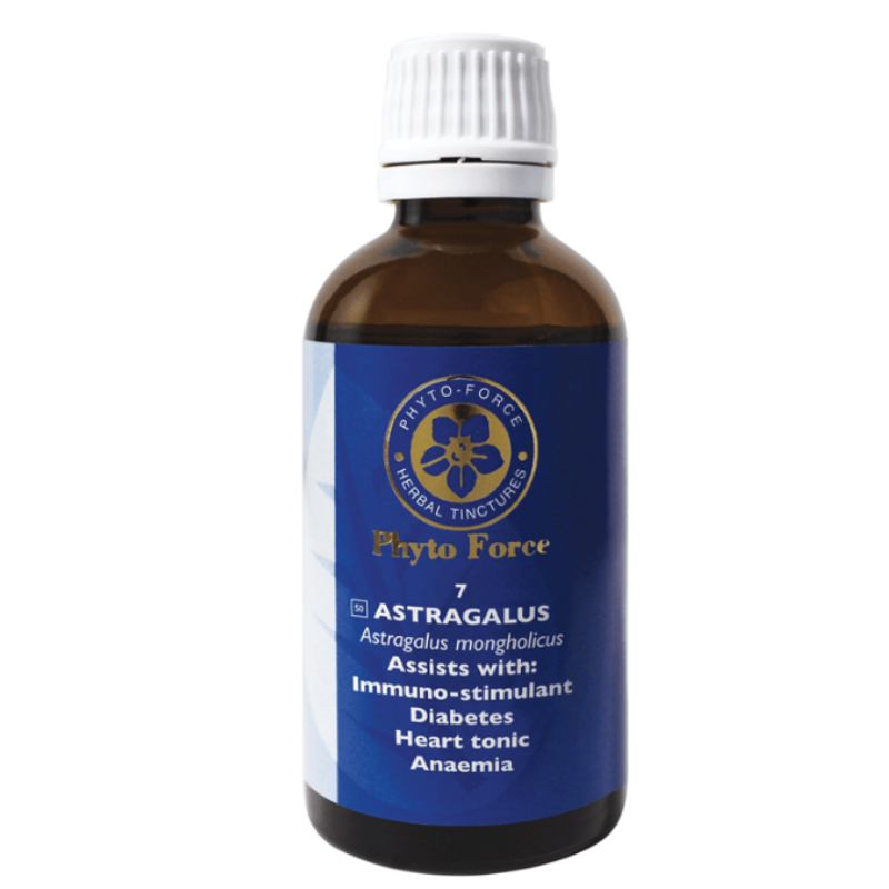 PHYTO FORCE ASTRAGALUS TINCTURE 50ML