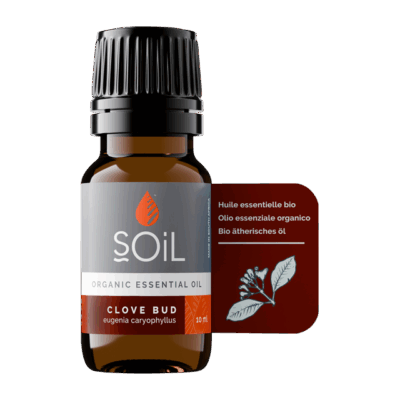 SOIL CLOVE BUD ESSENTIAL OIL 10ML