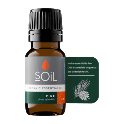 SOIL PINE ESSENTIAL OIL 10ML