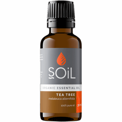 SOIL TEA TREE ESSENTIAL OIL 10ML