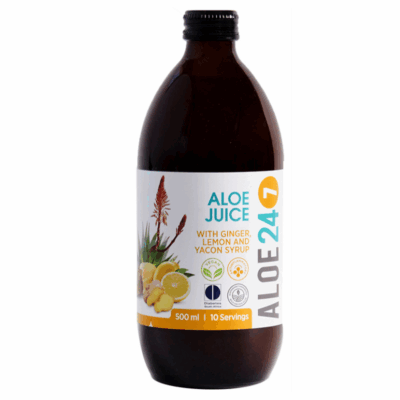 TOTALLY WILD ALOE 24/7 GINGER & LEMON 500ML
