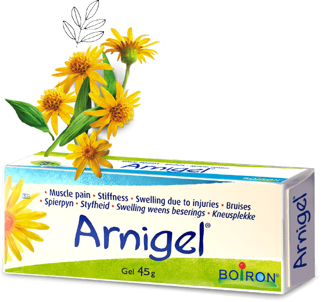 BOIRON ARNIGEL 45G