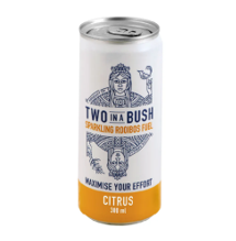 TWO IN A BUSH SPARKLING CITRUS READY TO DRINK 300ML CAN